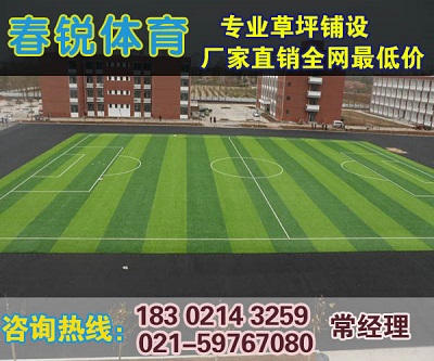 张家港足球场/体育场馆人造草皮施工  施工材料  厂家报价