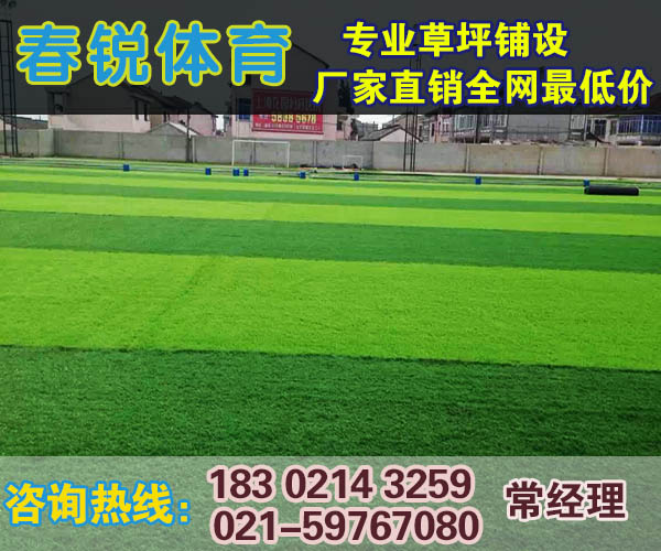 常熟室内足球场人造草坪报价/施工报价  人造草皮  施工材料  厂家报价