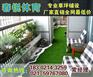 金坛足球场人造草坪铺设
