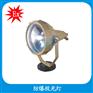 NFE370防爆投光灯 250w防爆投光灯