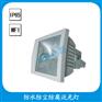 SBF6220防水防尘防腐泛光灯