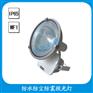 ZT6900防水防尘防震投光灯  250w圆形投光灯