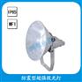 CNT9160A防震投光灯  1000w三防投光灯