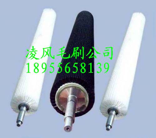 不锈钢表面清洁/抛光、铜带、钢带表面抛光塑料丝毛刷辊  工业毛刷辊