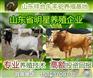 杨梅酒除杂除沉淀膜分离设备|四川膜分离设备|膜除杂膜过滤设备