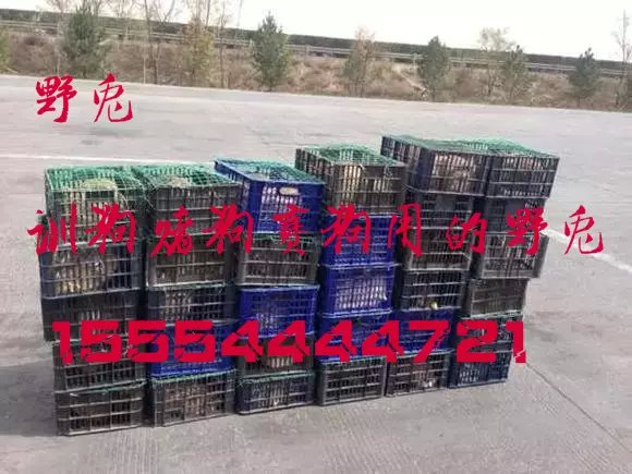 梅思安沃克曼系列紧急救援三脚架  梅思安妓院三脚架  梅思安一级代理商