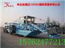 人工水库清草设备 全自动水草收割船 水库水浮萍打捞船