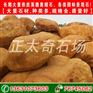 直销英德黄蜡石、各类园林景观石；种类多,规格全,质量好