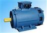 YE2-112M-2 4KW电机