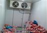 长沙湖南冷库在夏天的正常作业措施|冷库造价情况