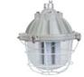新型LED防爆玉米灯德力西防爆灯具厂家电话
