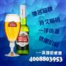 景德镇原装进口比利时时代啤酒现货批发Stella