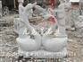 专业制作石雕天鹅，鸭子，园林景观石雕动物摆件 动物雕塑