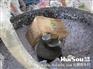 罗店报废文件现场销毁，金汇报废工程图纸销毁粉碎，奉贤档案销毁