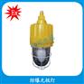 BCd-W165防爆无极灯  隔爆型防爆无极灯
