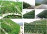 价格海宁临安斜坡绿化种植喷洒车
