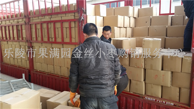 乐陵小枣价格  乐陵小枣批发  金丝小枣价格  乐陵金丝小枣价格