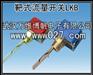 流量开关 靶式流量开关
