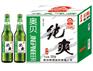 纯爽啤酒500毫升