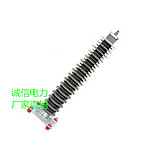 RW5系列熔断器&nbsp;&nbsp;高压熔断器&nbsp;&nbsp;跌落式熔断器