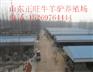 张家口骑乘马价格 正规养马场