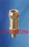 安全阀SFA-22C300T 冷冻机专用安全阀