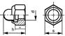 盖形锁紧螺母 Closed-end acorn nuts