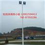 汕头篮球场灯杆厂家 篮球场灯光照明设计 预埋式灯杆厂家安装