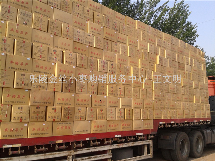 乐陵金丝小枣厂家批发价格  金丝小枣批发  乐陵小枣价格