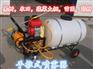 农业机械喷药机生产厂家 农田打药机图片