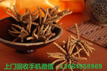 深圳哪里回收冬虫夏草  深圳哪里回收虫草  深圳回收冬虫夏草