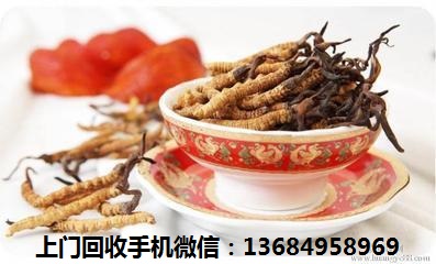福田冬虫夏草回收