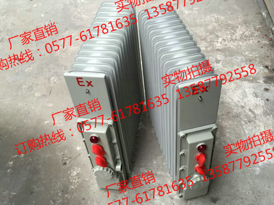 BDR-2KW/11片 220V防爆电热油汀 取暖器&nbsp;&nbsp;防爆油汀