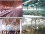 云南省畜牧牛羊养殖基地消毒杀菌设备最大生产厂商