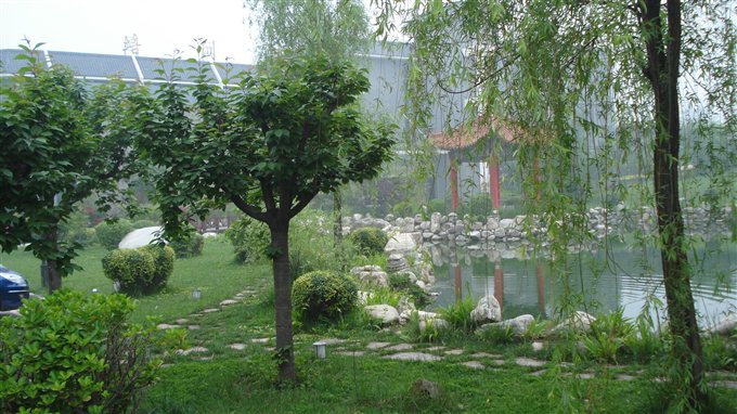鵬盛通市政工程信息|提供專業(yè)的別致的園林綠化工程