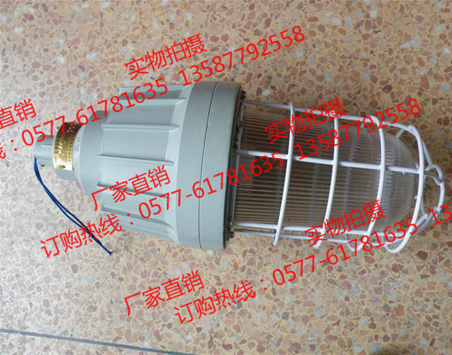 吊装防爆金卤灯 BAD61-L70gZ&nbsp;&nbsp;防爆灯厂家&nbsp;&nbsp;防爆灯价格