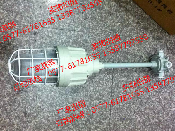 吊装防爆金卤灯 BAD61-L70gZ