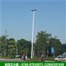 宜昌室外球场优质照明灯杆 不锈钢锥形灯杆热销 可批发定制
