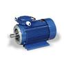 CANTONI单相感应电动机帧尺寸90毫米系列