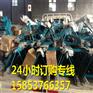 毕节震捣梁/宁夏中卫框架式震捣梁/混凝土整平机/振捣梁