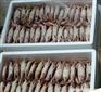 宁波食品进口报关清关时间流程