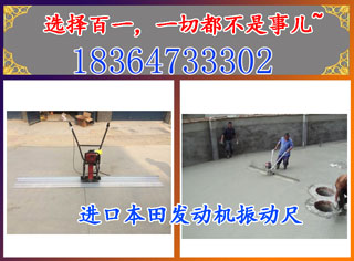 汽油后拉式振捣尺 混凝土平衡尺全国联保 小型平衡尺 小型振捣尺