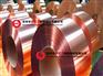 双面镀镍紫铜带 0.5mm镀镍紫铜带 长沙紫铜带