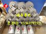 OPGW光缆接头盒 厂家直销 24芯 塔用接头盒