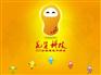 广州O2O电商全网营销模式
