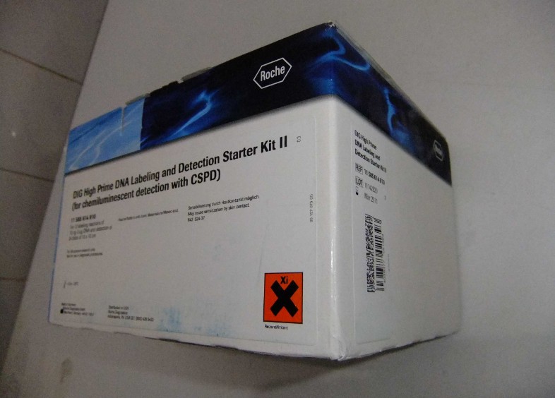 人白三烯D4(LTD4)ELisa检测试剂盒