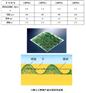 威海三维植被网基地生产
