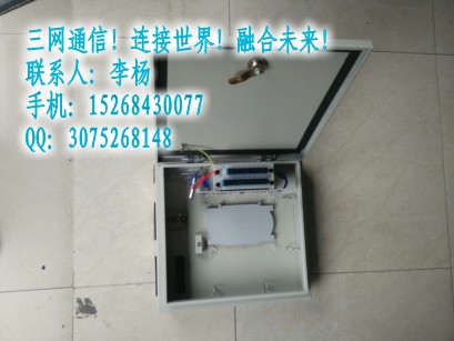 1分16光分路器箱 分光分纤箱 光钎分光箱