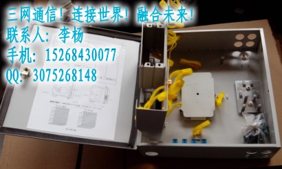 1分32光分路器箱 分光分纤箱 光钎分光箱
