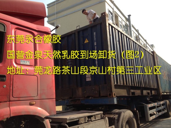 海南原装优质天然乳胶  海南天然乳胶  海南国产天然乳胶  海南金联天然乳胶